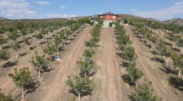 Memleketine döndü hobi olarak başladı: 35 ton mahsul bekliyor 8